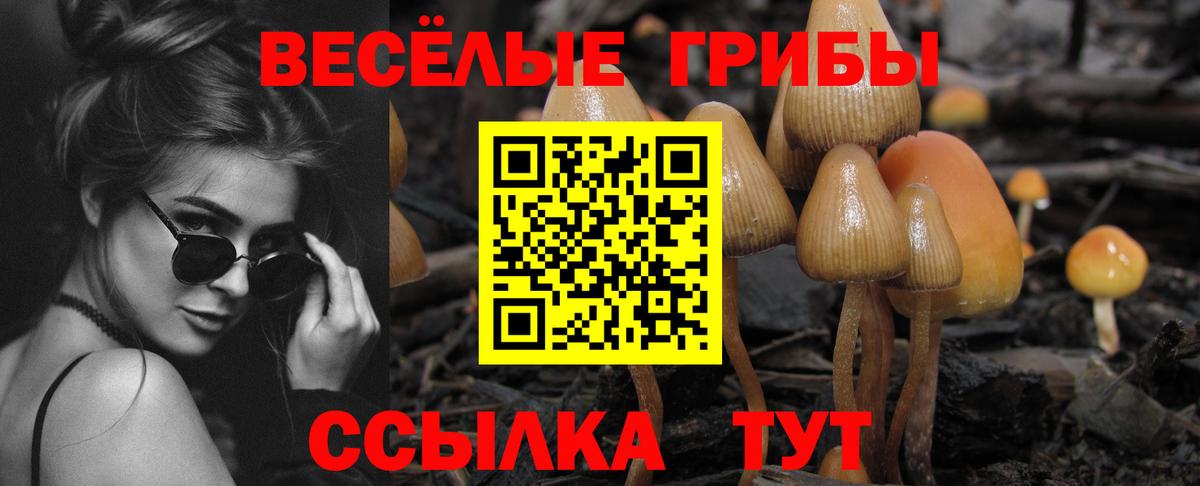 Псилоцибиновые грибы MAGIC MUSHROOMS  Вход с VPN  Сунжа  Галлюциногенные грибы GOLDEN TEACHER 