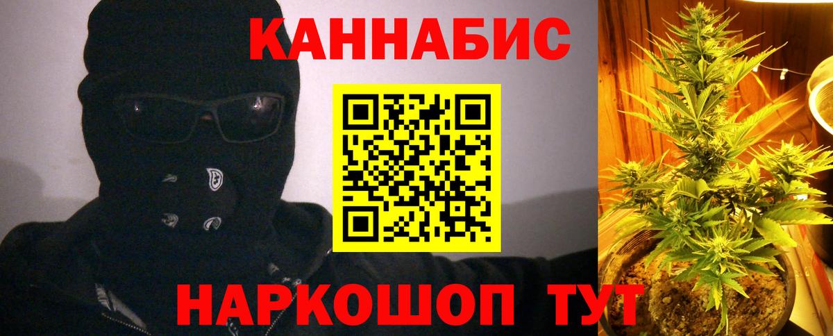Бошки Шишки OG Kush Сунжа